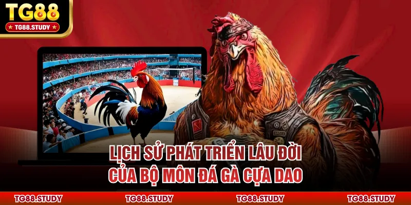 Lịch sử phát triển lâu đời của bộ môn đá gà cựa dao